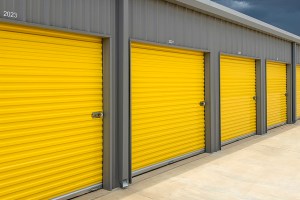 Cover image for March 2025 Self Storage Market Outlook
